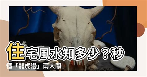 客廳龍虎邊|【住宅龍虎邊】住宅風水知多少？秒懂「龍虎邊」兩大。